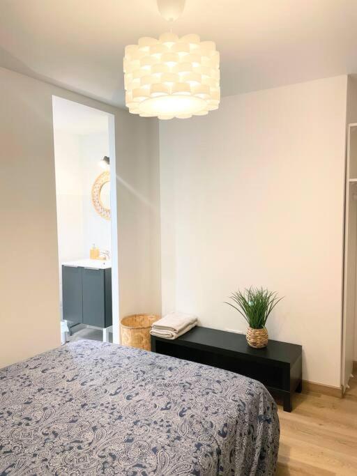 / Cocon \ Paisible Hyper Centre Rodez Apartment Ngoại thất bức ảnh